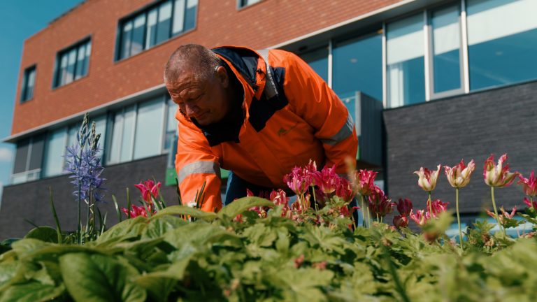 Collega Olst-Wijhe