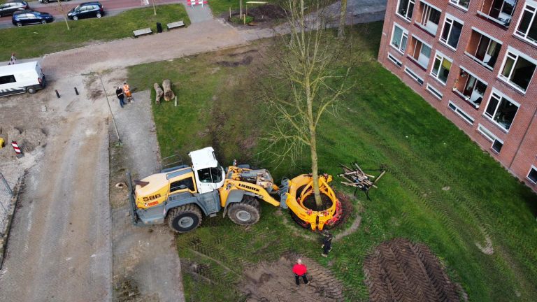 Bomen verplaatsen Van Hetenlocatie