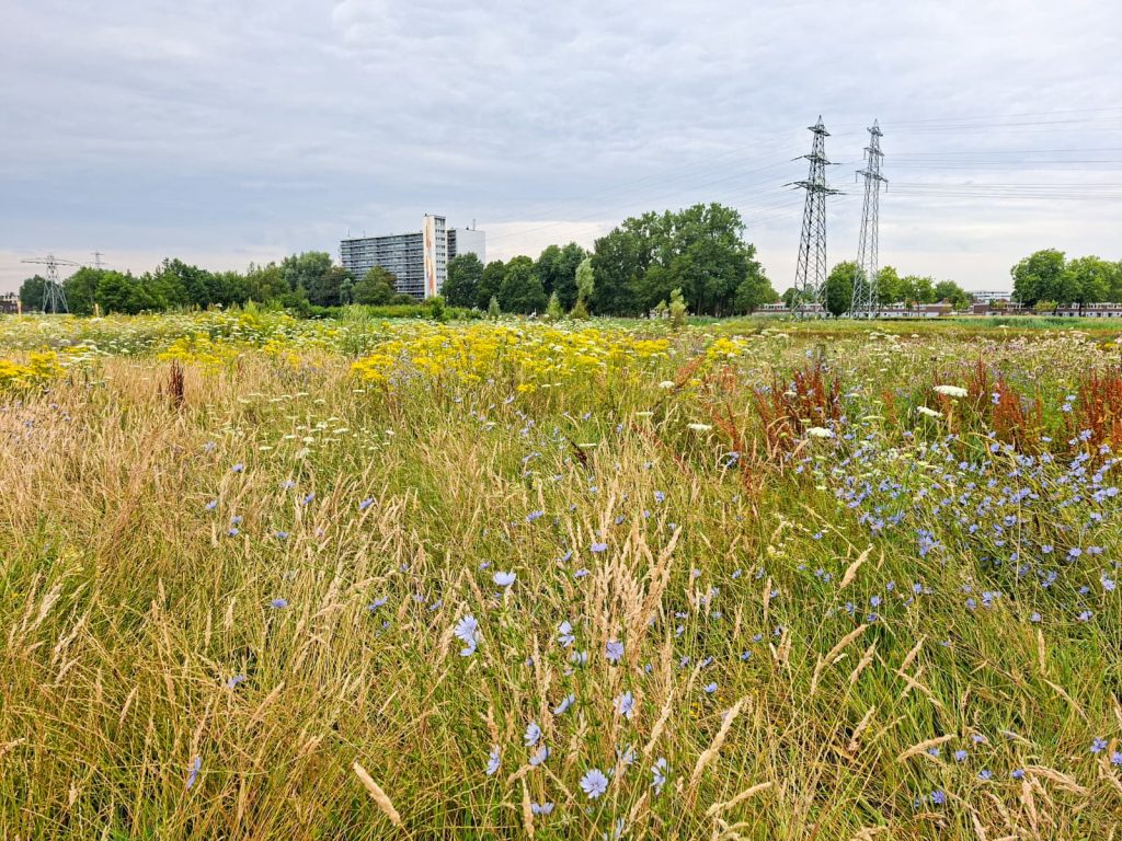 Zandweteringspark