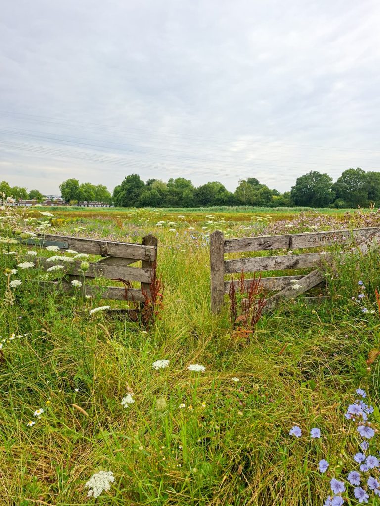 Zandweteringspark