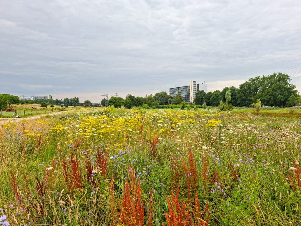 Zandweteringspark