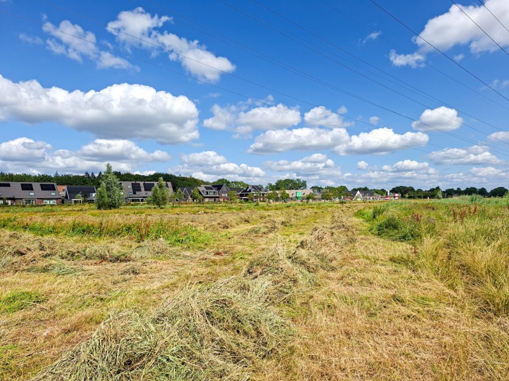 Harken in Zandweteringspark